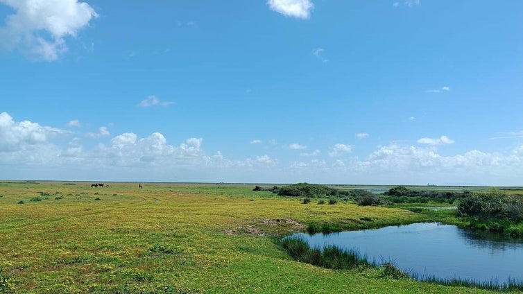 La provincia de Huelva registró el mes de marzo con más precipitaciones de los últimos diez años