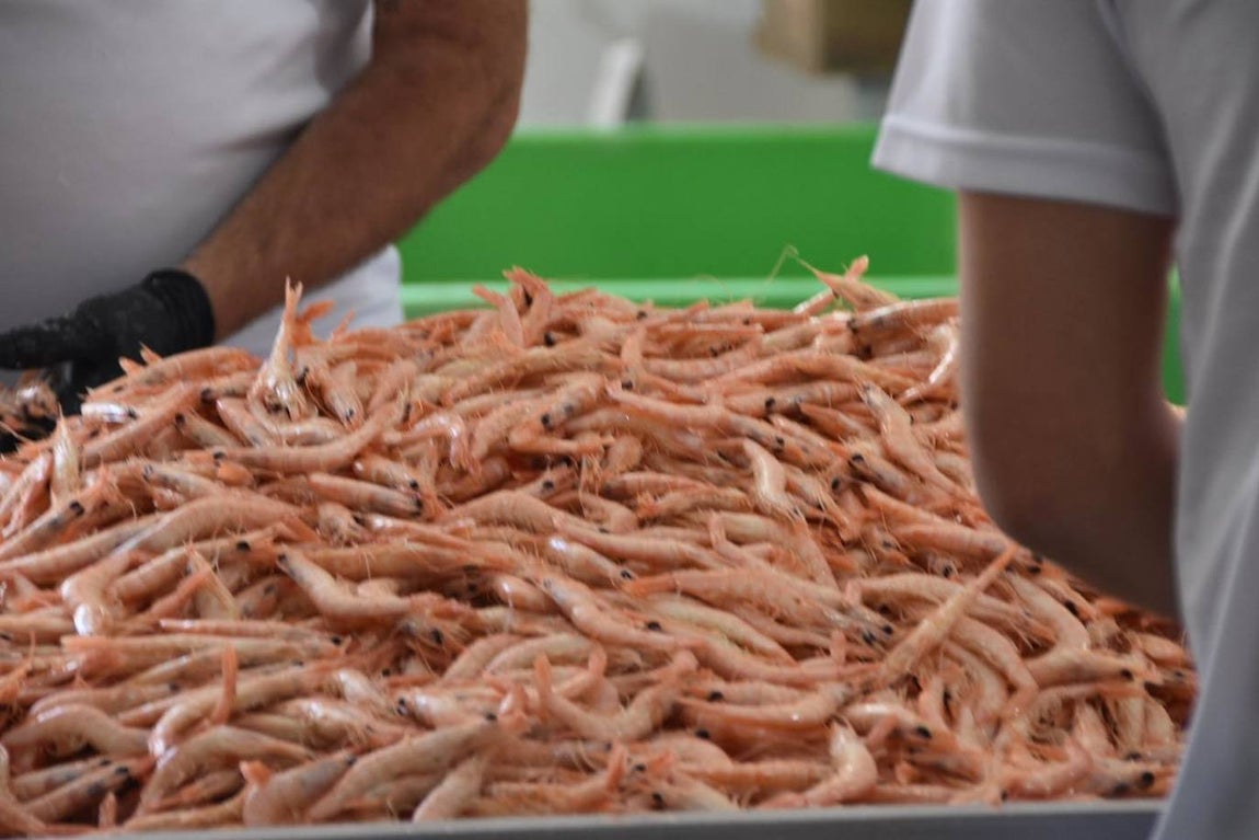 Último día de la Feria de la Gamba en Punta Umbría. Estas son las actuaciones y la programación