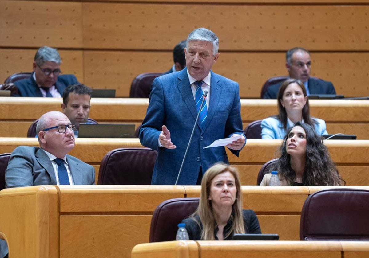 Carmelo Romero durante su intervención en la Cámara Alta