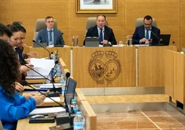 El pleno de la Diputación muestra su apoyo unánime a los chiringuitos de las playas de Huelva