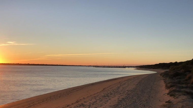 Las viviendas contarán con acceso directo a la playa