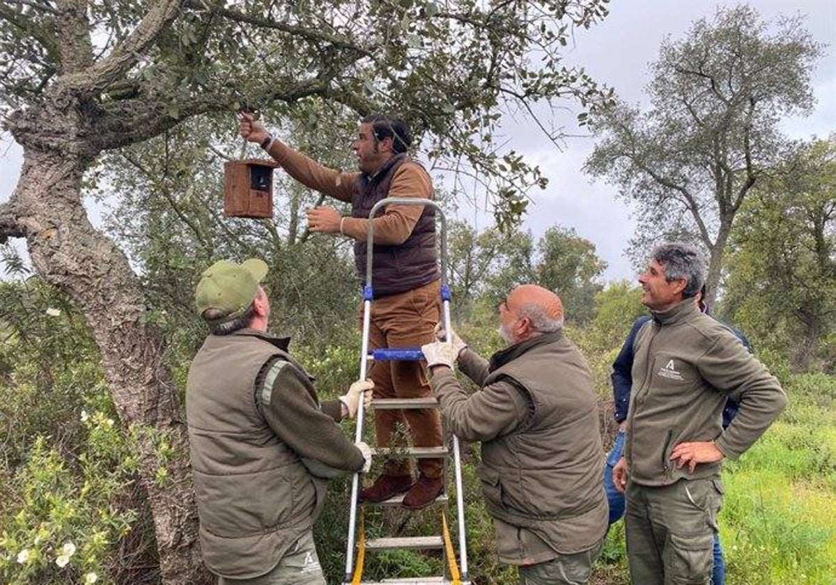 El personal del paraje natural ha fabricado con material reciclado 150 refugios para aves