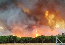 El juez decide continuar el procedimiento contra los tres investigados por el incendio de Doñana