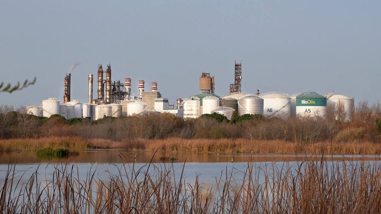 La Ría de Huelva sufre la contaminación de sus aguas