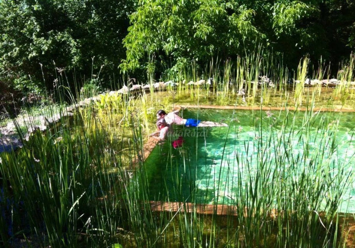 La piscina naturalizada en la finca situada en la Sierra de Aracena y Picos de Aroche