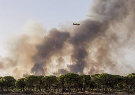 Cerca de tres años para el Plan de Restauración de las zonas afectadas por el incendio de Doñana