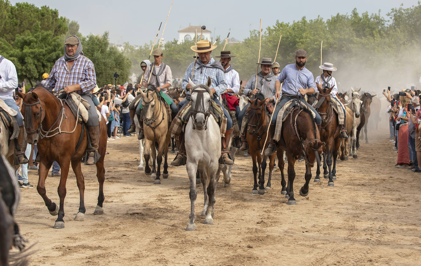 La Saca de las Yeguas 2024, en imágenes
