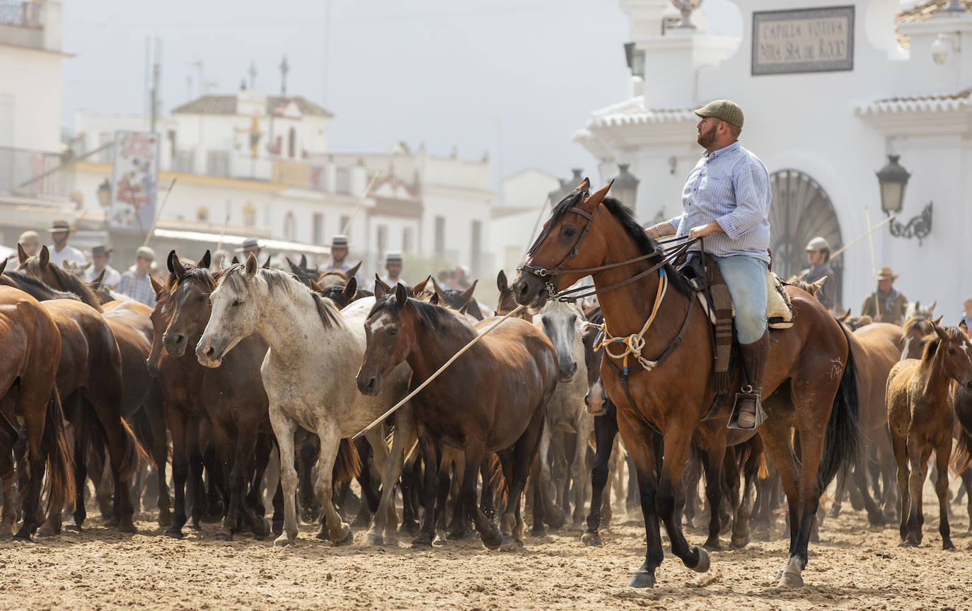 La Saca de las Yeguas 2024, en imágenes
