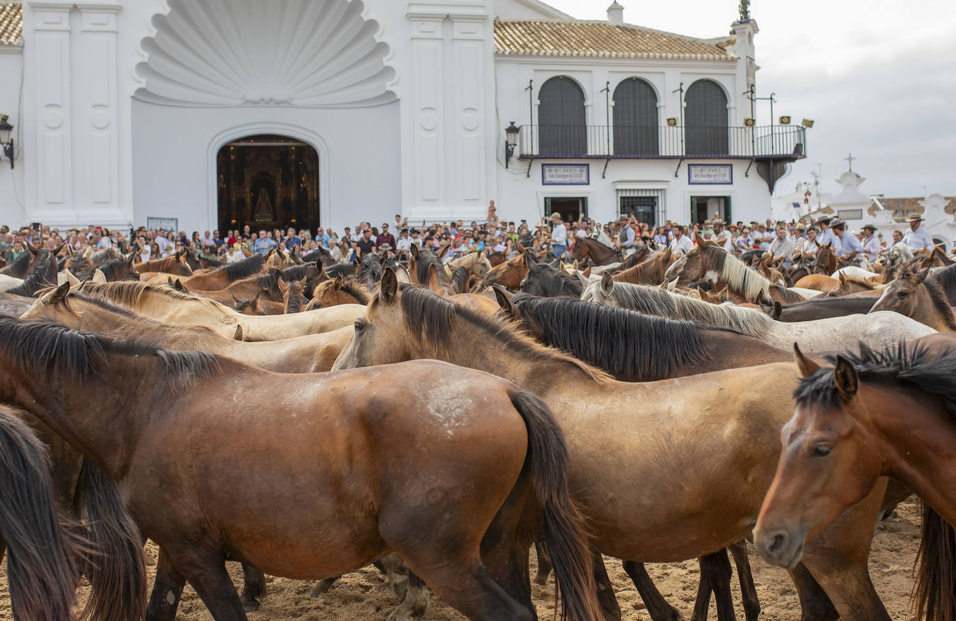 La Saca de las Yeguas 2024, en imágenes