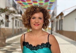 Limón afirma que el Gobierno «no descarta para nada el AVE», pero que «como sabemos es un proyecto a largo plazo»