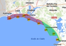 Prohibido coger coquinas entre Isla Canela y Mazagón por presencia de biotoxinas