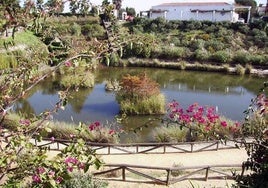 El parque Celestino Mutis contará con una nueva zona de ocio y el Foro Iberoamericano con hasta 400 aparcamientos