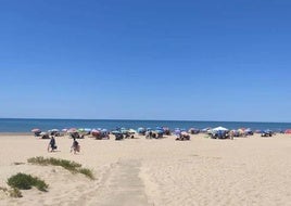 Un tiktoker visita la playa para perros de Punta Umbría y no da crédito a lo que encontró: «Es una pena que este paraíso se encuentre de esta manera»