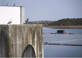 El agua del embalse portugués de Alqueva llegará a Huelva por 2 millones de euros al año