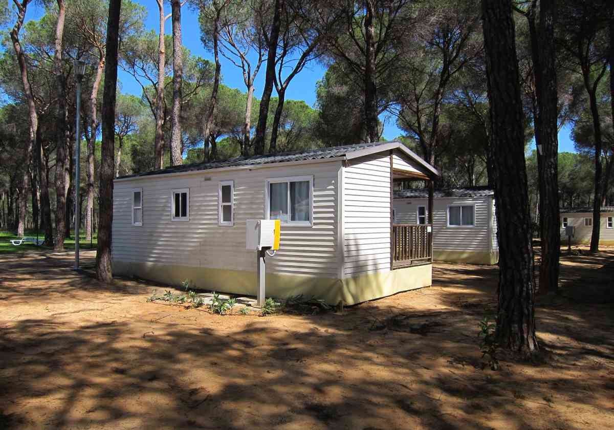 Bungalow en un camping en Doñana