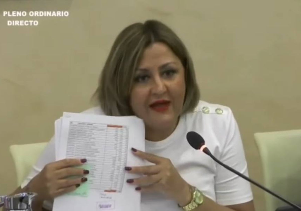 La concejala Ana Saavedra, en el pleno municipal de esta semana