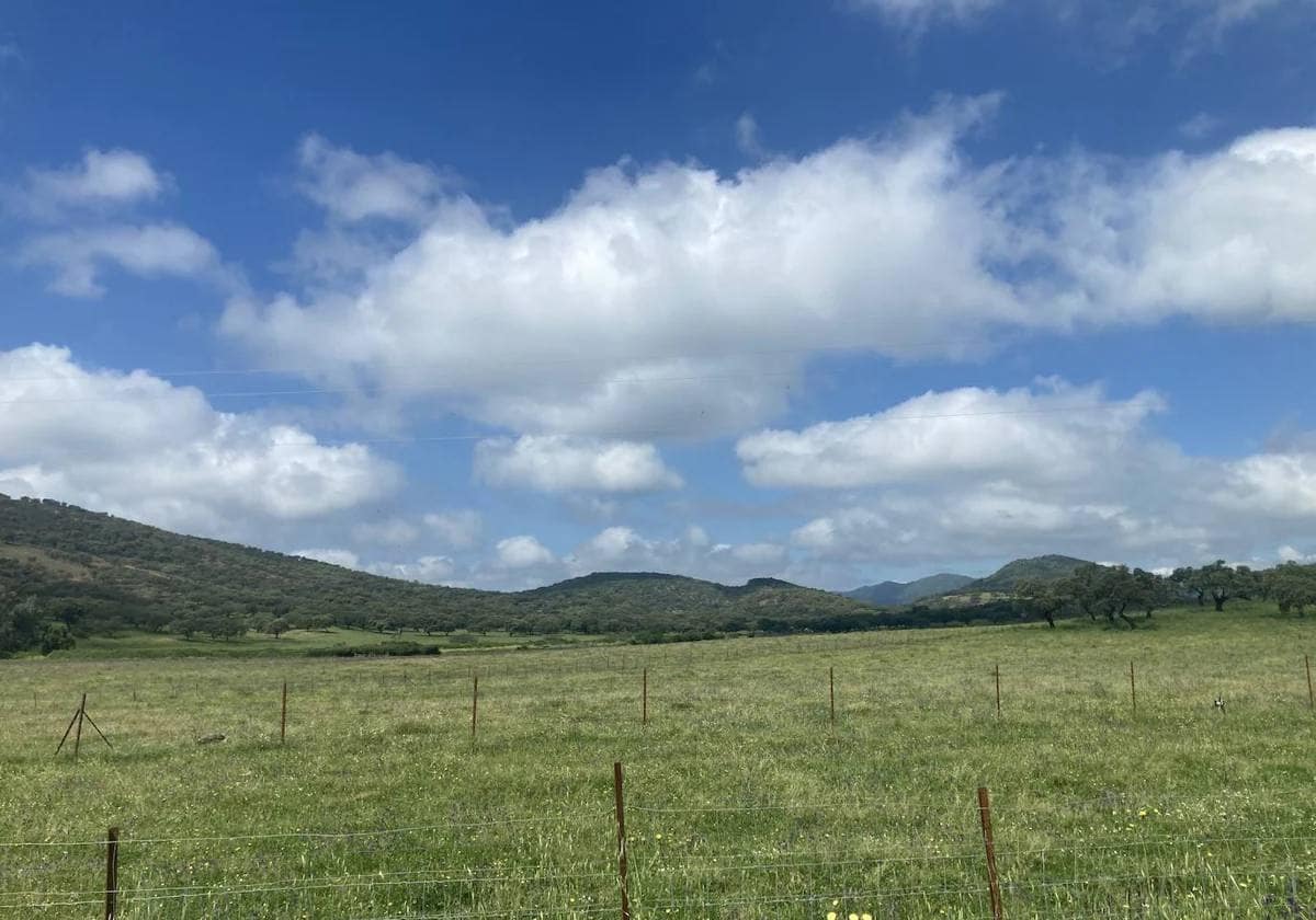 Esta semana podría caer algo de lluvia en la provincia de Huelva