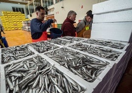 Indignación en Punta Umbría ante los recortes en las cuotas del boquerón que pueden dejar a muchas familias del municipio en la estacada
