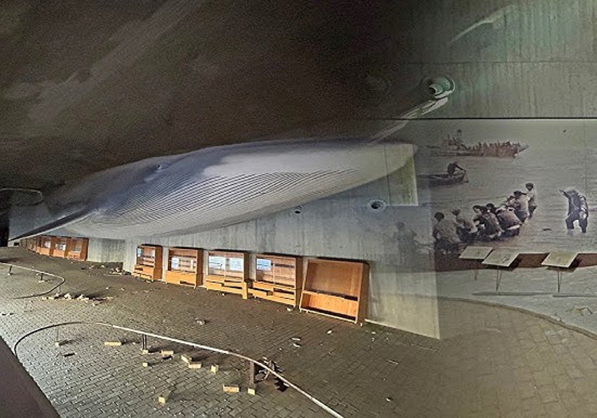 Imagen de la ballena gigante que puedes ver en un edificio abandonado de Huelva