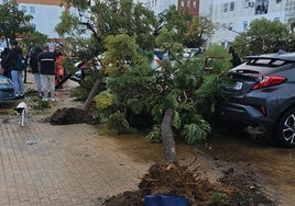 Isla Cristina activa el Plan de Emergencia Municipal tras los daños causados por el tornado