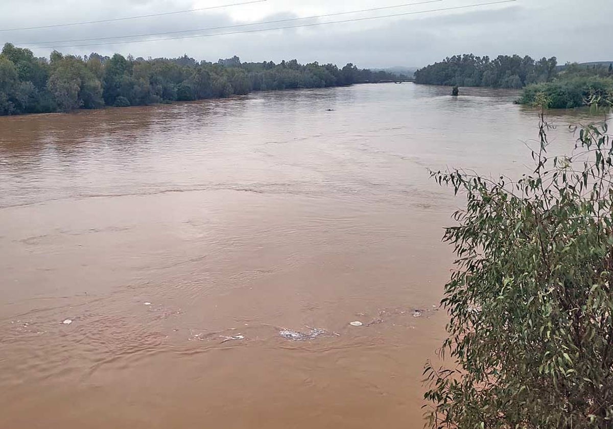 El río Odiel, esta mañana, a su paso por Gibraleón