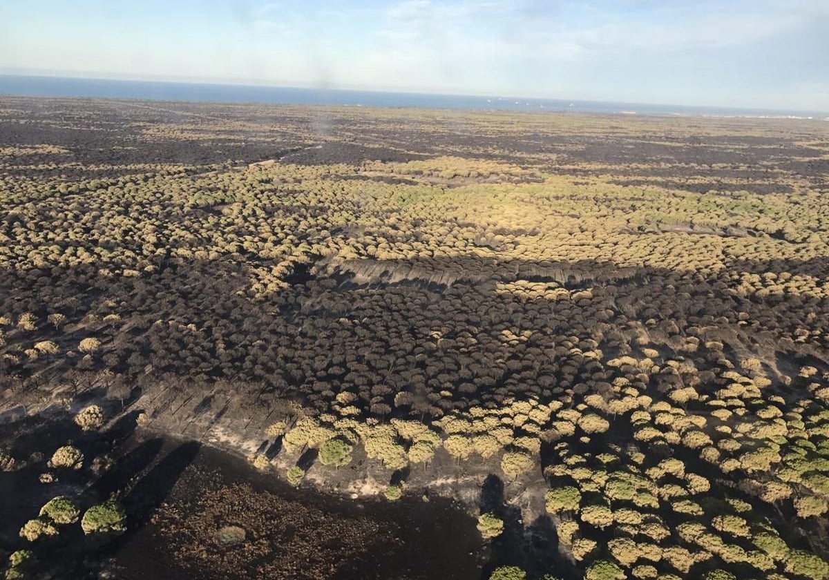 Vista aérea de algunas zonas quemadas en el incendio de Doñana