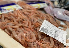 Soy onubense y estos son los mejores lugares para comprar gambas blancas de Huelva