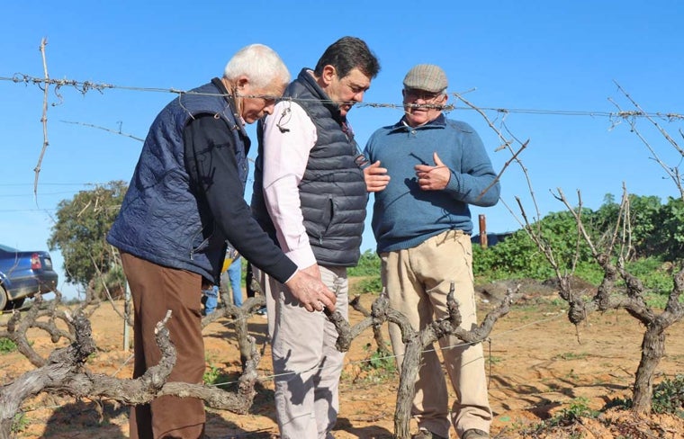 El nuevo presidente en una explotación vinícola de la comarca