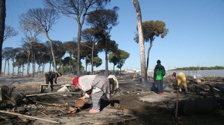 Trabajadores agrícolas buscan en las cenizas lo que queda de sus pertenencias