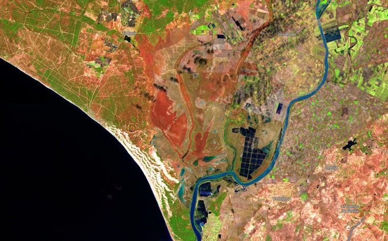 Imagen principal - Imágenes del satélite Sentinel II a su paso por Doñana. Arriba, en octubre de 2024 y abajo en enero de 2025