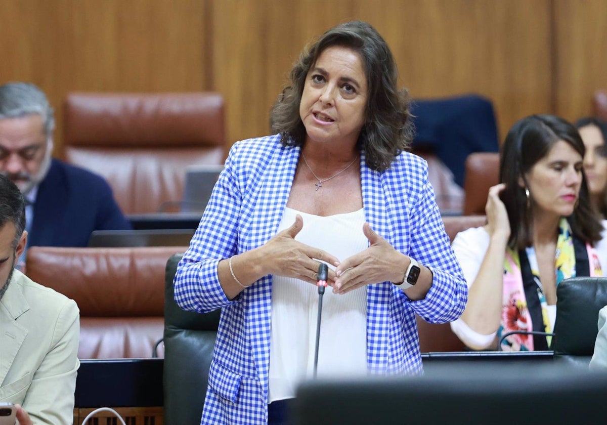 La consejera de Sostenibilidad y Medio Ambiente, Catalina García, en el Parlamento andaluz