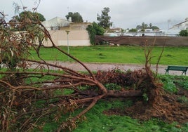 Así fue el momento en el que un tornado arrasa la costa de Huelva: «¡Mira la chapa dónde ha ido a parar!»