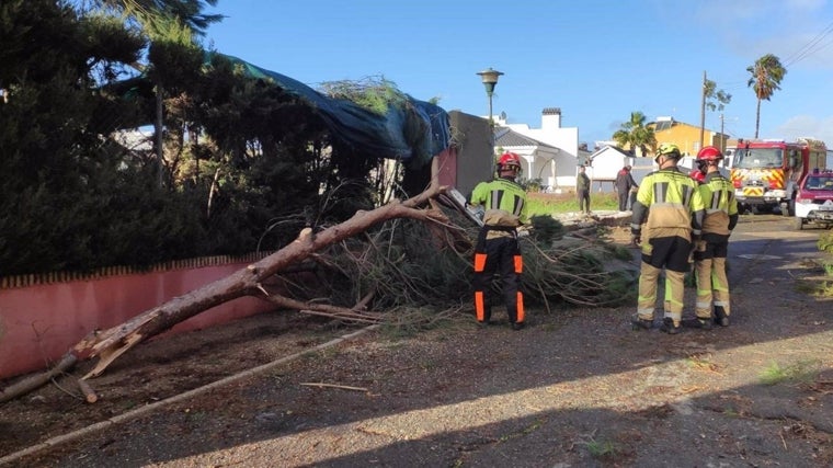 Los bomberos arreglando alguno de los desperfectos causados por el tornado