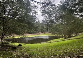Visto bueno de Doñana al proyecto de restauración de la finca 'Los Mimbrales'