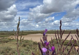 El tiempo en Huelva: Domingo de Resurrección de sol y nubes