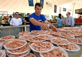 Feria de la Gamba 2025 en Punta Umbría: fecha, horarios, conciertos y programación completa