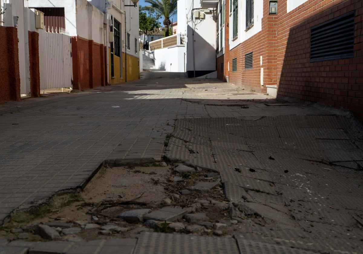 El lamentable estado de abandono de la calle Roqueta en Punta Umbría