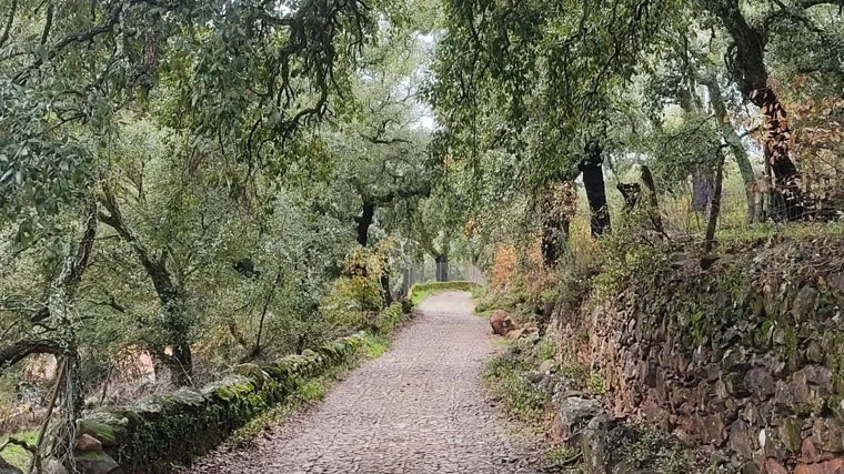 Ejemplo de sendero ya cubierto de la Sierra