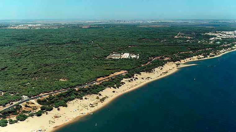 Vista aérea de la playa de San Miguel