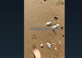 Una mujer fue a playa de La Antilla y se quedó sin palabras al ver cómo estaba la orilla:«¿Alguien sabe qué pasa?»