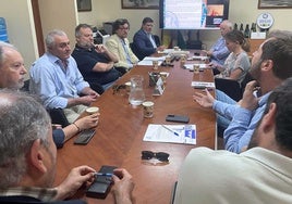 Un hongo se propaga por las viñas del Condado de Huelva y compromete gravemente la vendimia: «La situación es crítica»