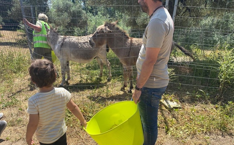 Imagen principal - En las actividades pequeños y mayores interactúan con los animales que conviven en las instalaciones de El burrito feliz