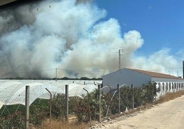 La Guardia Civil no descarta ninguna hipótesis del incendio de La Malvina pese a sus ocho focos diferentes