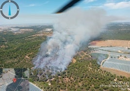 Nuevo incendio forestal en Moguer, ni 24 horas después del anterior