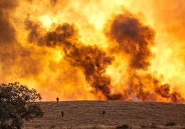 La provincia de Huelva al completo catalogada como zona de alto riesgo de incendios