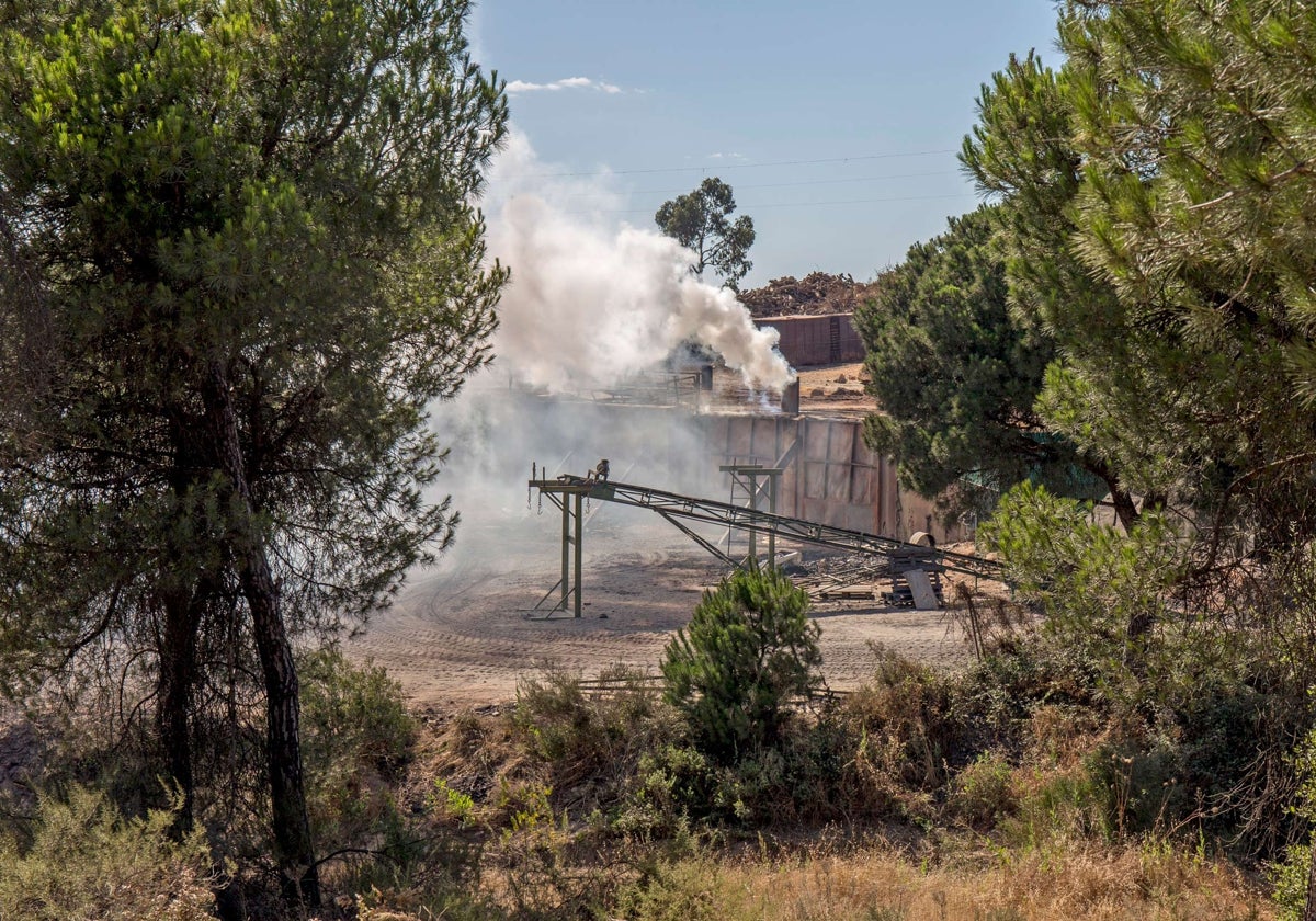 La carbonería donde presuntamente se inició el fuego