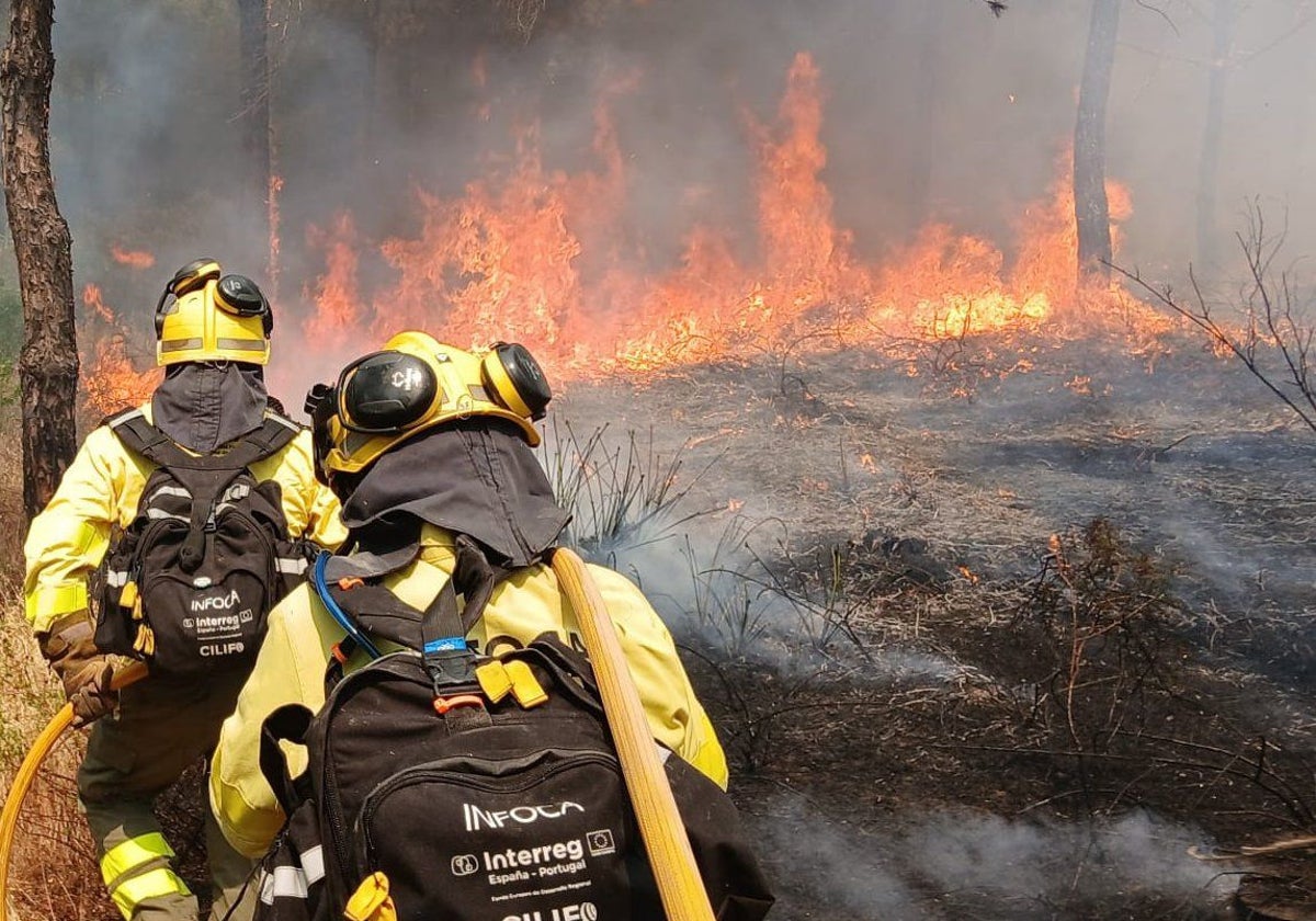 Incendio forestal declarado este jueves en término municipal de Almonte
