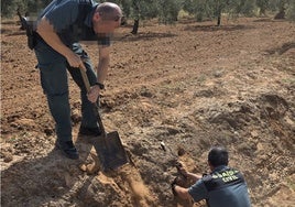 Destruyen una treintena de nidos de un ave protegida en el entorno de Doñana