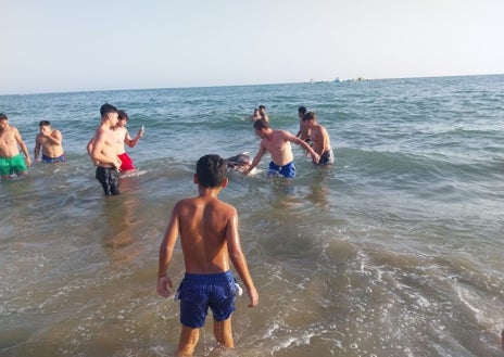 Imagen secundaria 1 - Un delfín muerto llega a la orilla de la playa de Punta Umbría