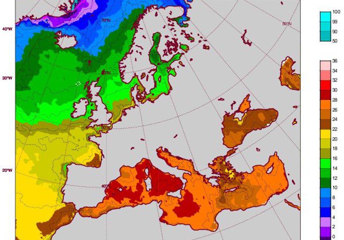 Imagen de la temperatura del mar